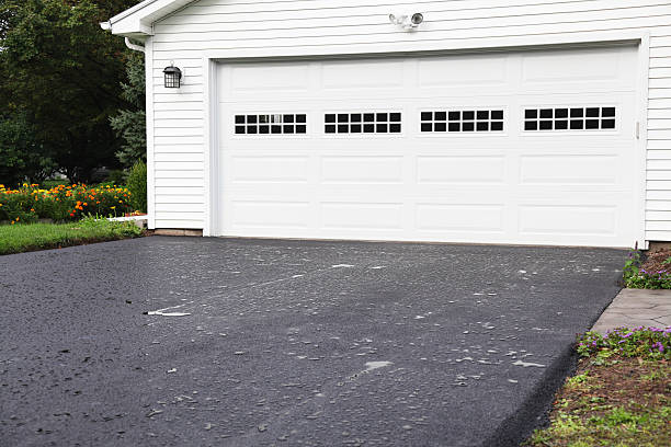 Best Driveway Snow Removal Preparation in Homosassa, FL